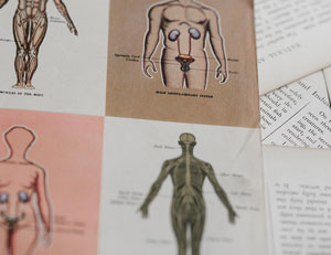 medical anatomy books