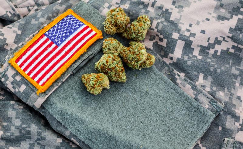 Cannabis and Veterans