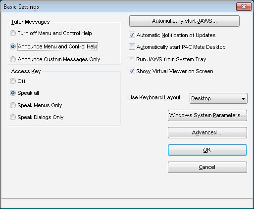 Screenshot showing the JAWS 12.0 basic settings
