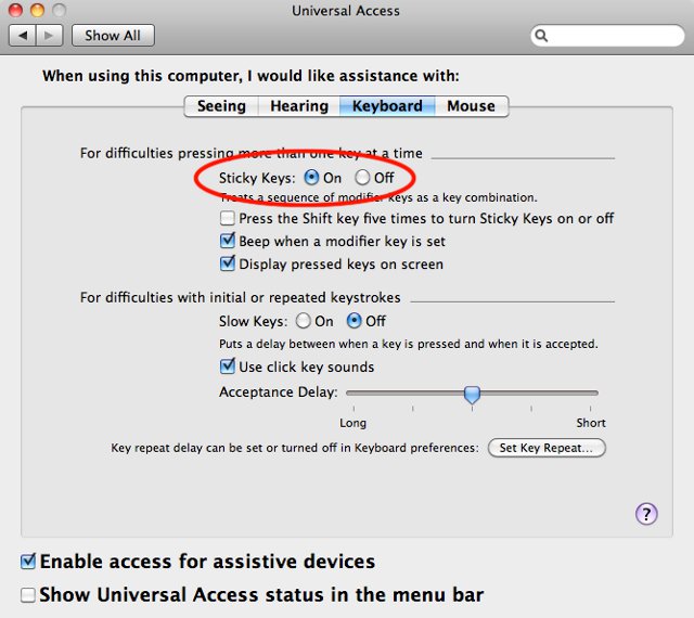 Screenshot of OS X Universal Access keyboard options